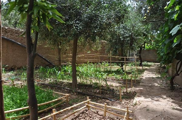 A Secret Garden Hotel Tinghir Екстериор снимка